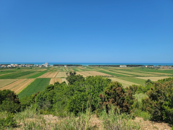 Shitet toke ne koder Spille