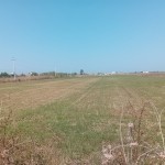 Shitet toke buze rruge Fllake Durres